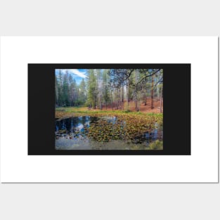 Lily Pond Posters and Art